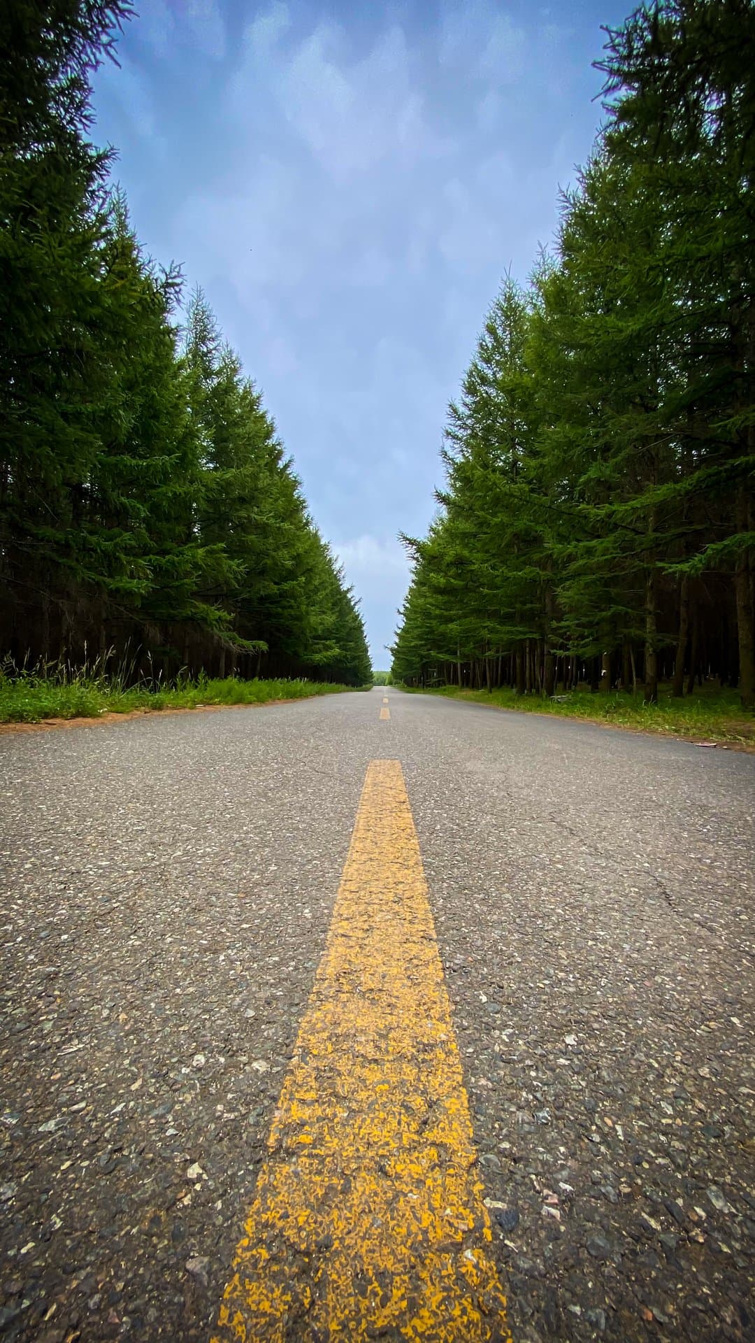 林间小道